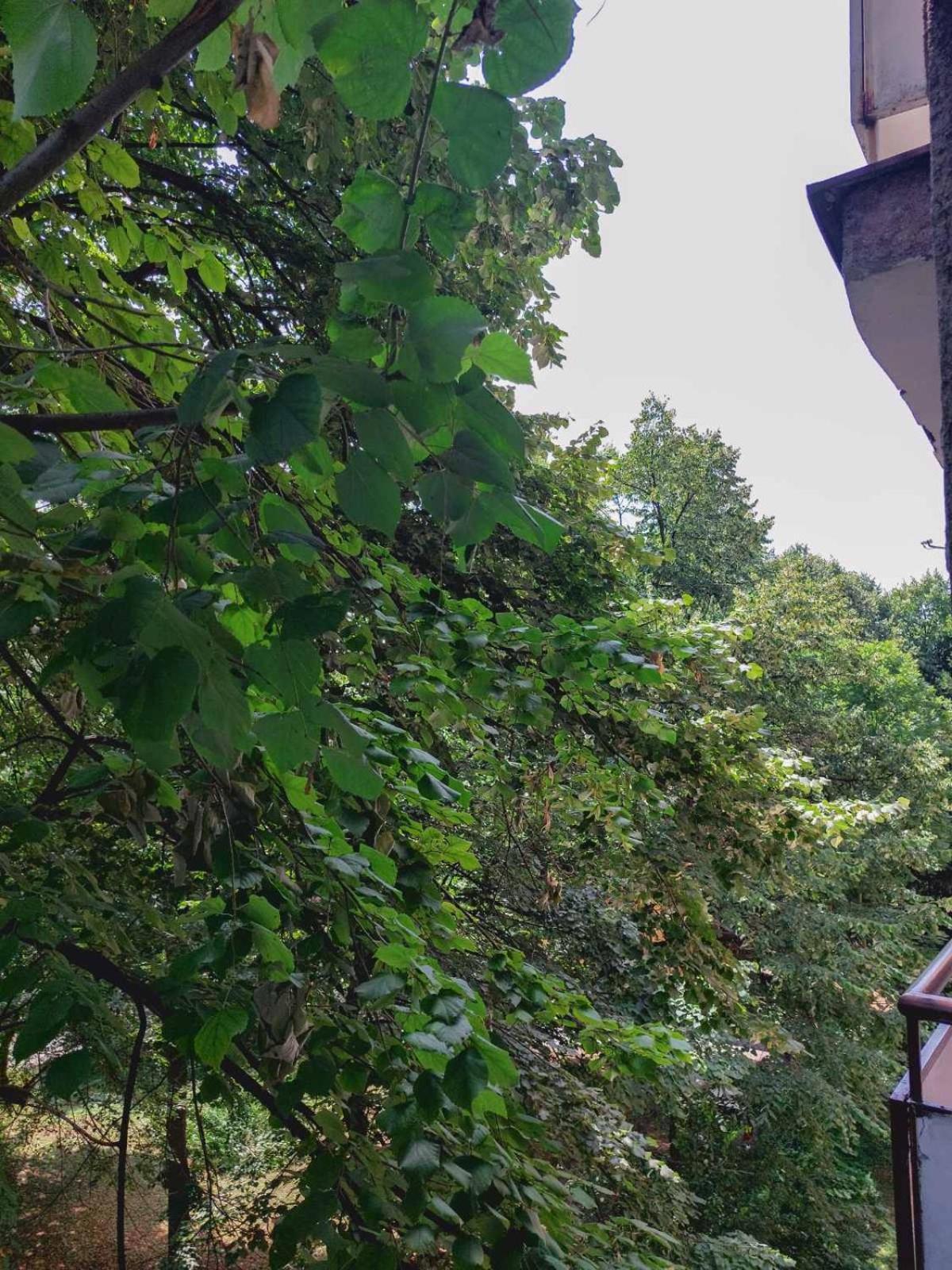 Apartman Rejna SJJ Exteriér fotografie
