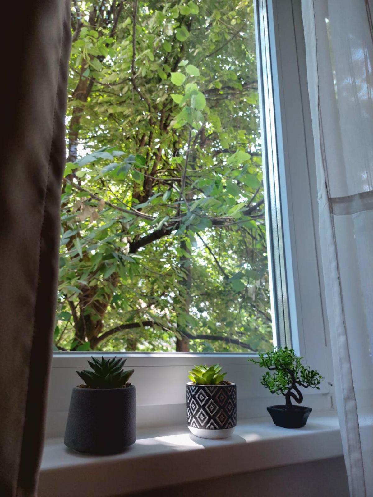 Apartman Rejna SJJ Exteriér fotografie
